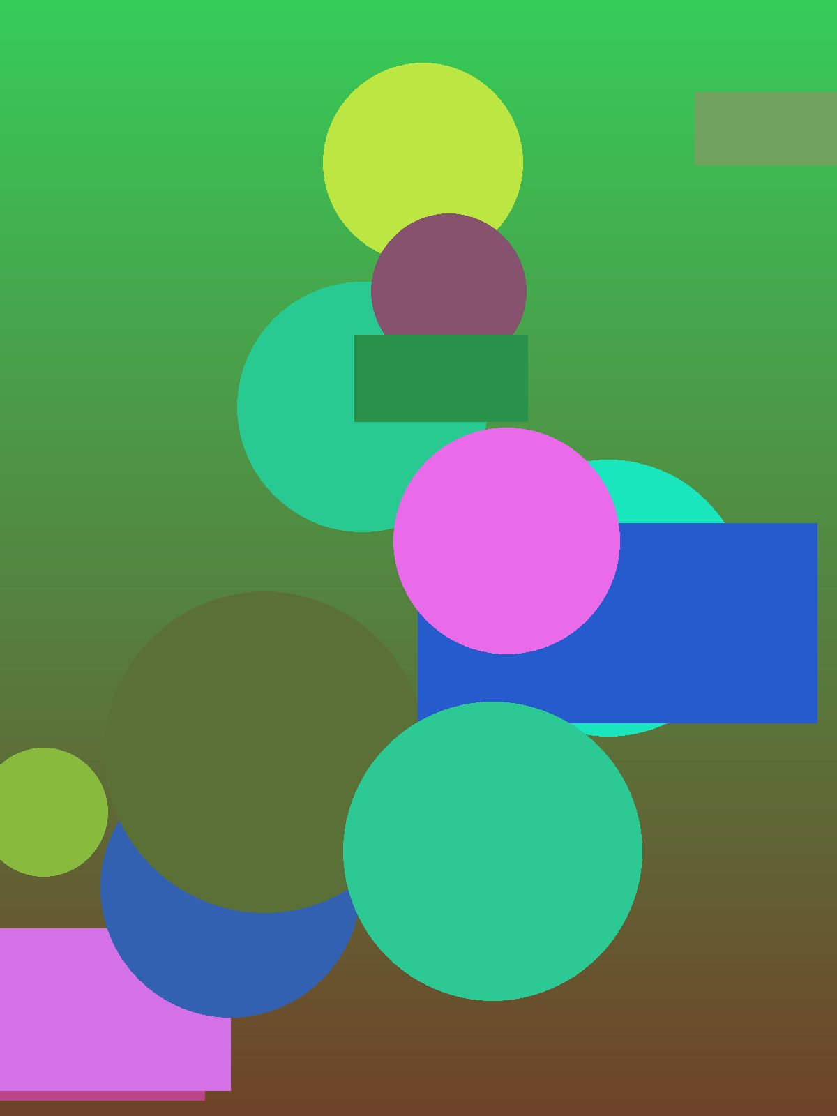 Post de teste C8 01168 duis in